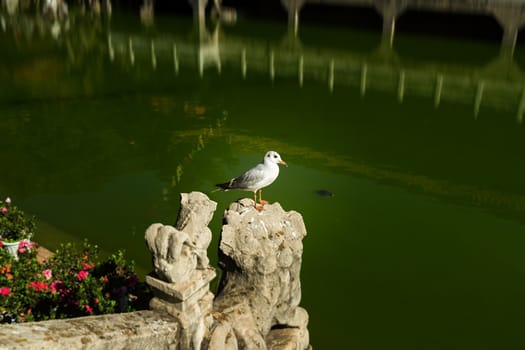 Yuantong Temple in Kunming city, China