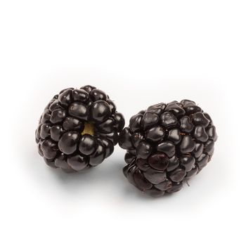 Group of two ripe blackberries isolated. Blackberries isolated, blackberry