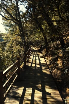 Landscape of Pudacuo National Park, Shangri-la, China