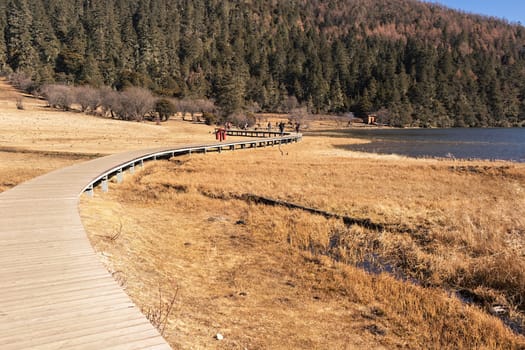 Landscape of Pudacuo National Park, Shangri-la, China