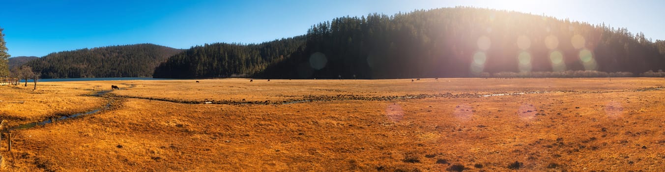 Landscape of Pudacuo National Park, Shangri-la, China