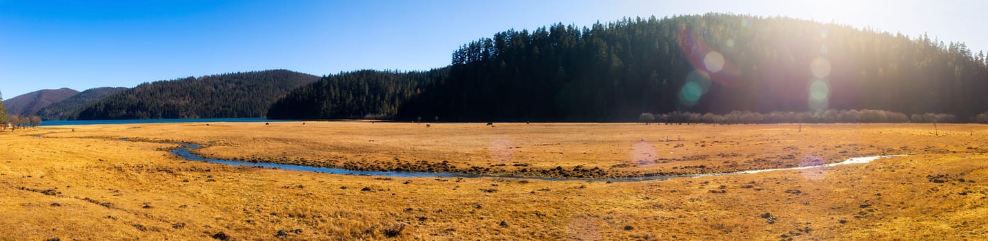 Landscape of Pudacuo National Park, Shangri-la, China