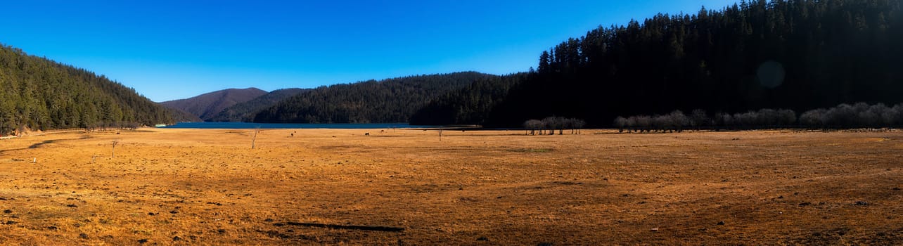 Landscape of Pudacuo National Park, Shangri-la, China