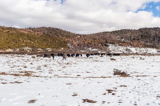 Shika Snow Mountain in Yunnan, China