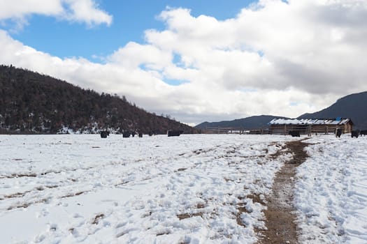 Shika Snow Mountain in Yunnan, China