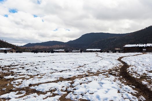 Shika Snow Mountain in Yunnan, China