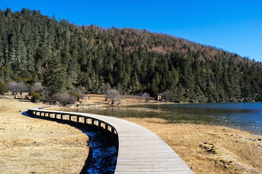 Landscape of Pudacuo National Park, Shangri-la, China