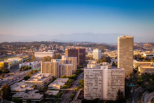 Evening Light in Los Angeles