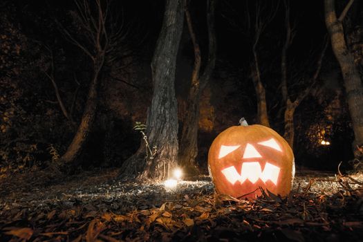 Scary pumpkin in the forest, halloween, holiday