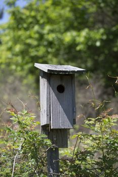 Small and empty wooden birdhouse in the woods