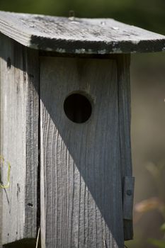 An extreme close up of an empty birdhouse