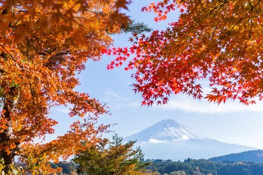 Mt Fuji in autumn view from lake Kawaguchiko