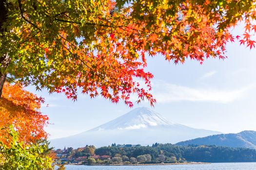 Lake Kawaguchi and Mount Fuji in Autumn