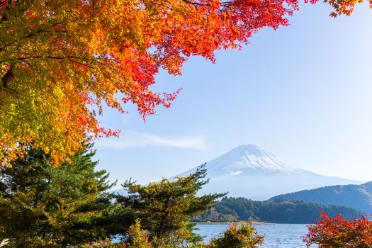 Mt.Fuji in autumn at Lake kawaguchiko in japan