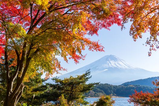 Fujisan in autumn