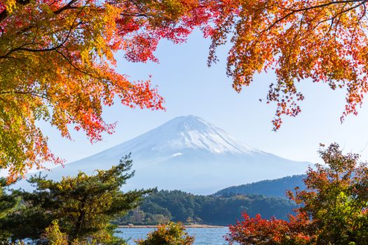 Autumn season and Mount fuji