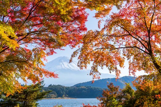 Mount Fuji in Autumn season of Japan