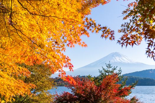 Mount Fuji and lake kawaguchi