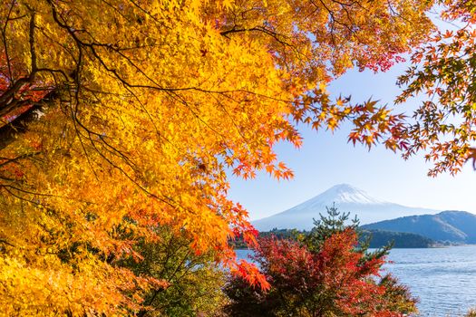 Mount Fuji at Autumn