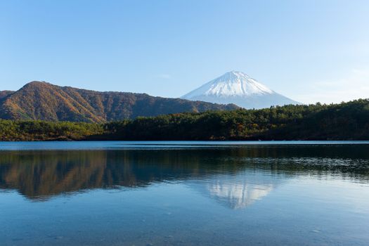 Fuji mountain