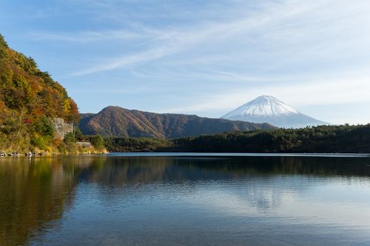 Mountain Fuji in Autumn