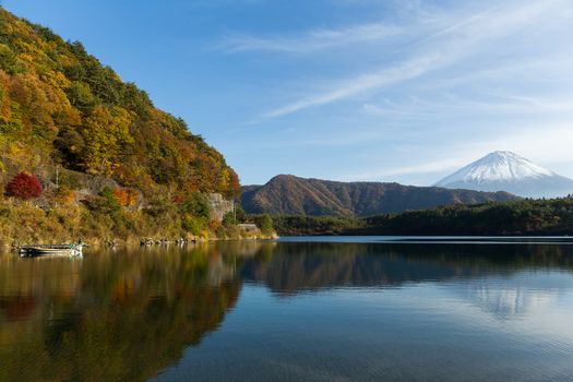 Saiko Lake and mount Fuji in Autumn