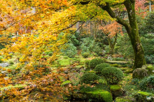 Beautiful Japanese temple in autumn season