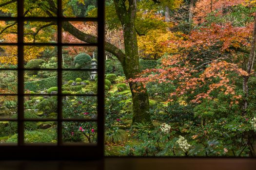 Japanese window in autumn season