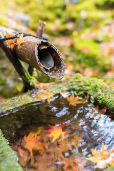 Japanese bamboo ladle in Japanese Temple