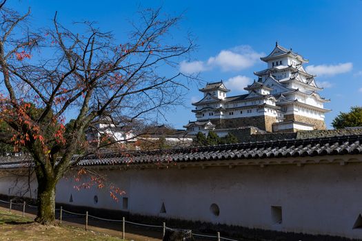 Traditional White Himeji castle