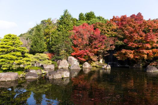 Autumn Kokoen Garden