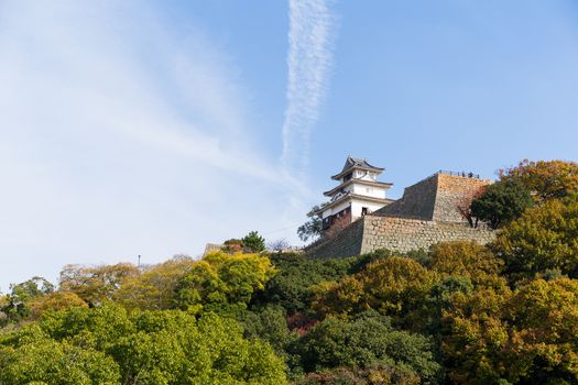 Traditional Marugame Castle