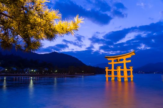 Torii in Itsukushima shine at evening