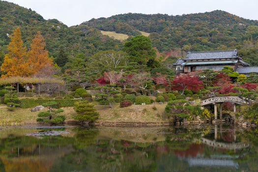 Autumn garden in Japan
