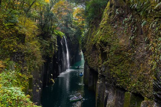 Yellow leaves in Takachiho Gorge