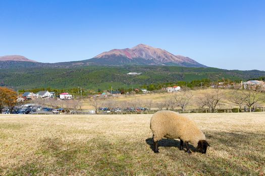 Mount Kirishima and farm