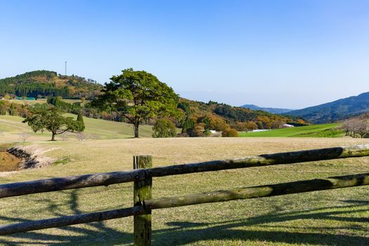 Farmland and sunny day