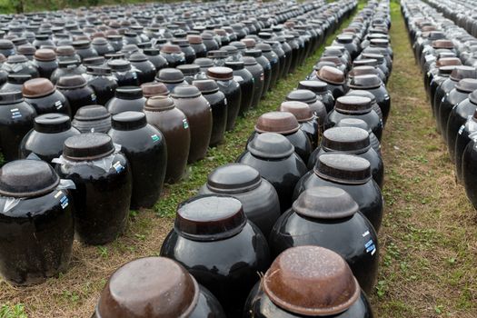 Barrel of Vinegar store in outdoor