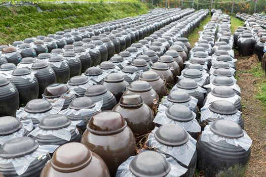 Vinegar in Barrel store at outdoor