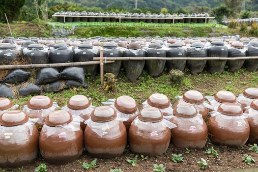 Barrel of Vinegar store in outdoor