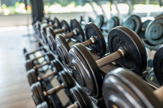 Dumbbell in gym