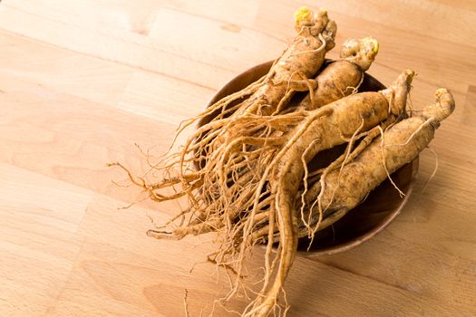 Korean Ginseng