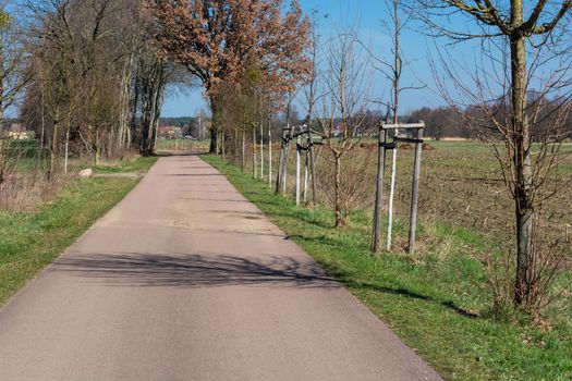 Road between the village Meinsdorf and the village Mühlstedt in Saxony Anhalt, Germany.