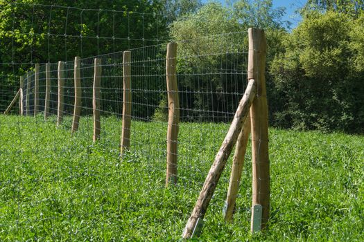 Fence of a pasture for horses or cows