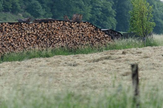 Beautifully stacked firewood stock for winter on a large meadow in the countryside.