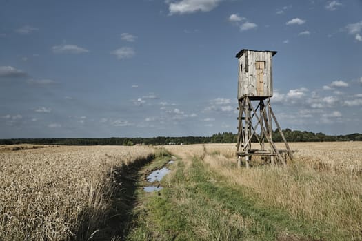 A rural landscape with a dirt road in Poland