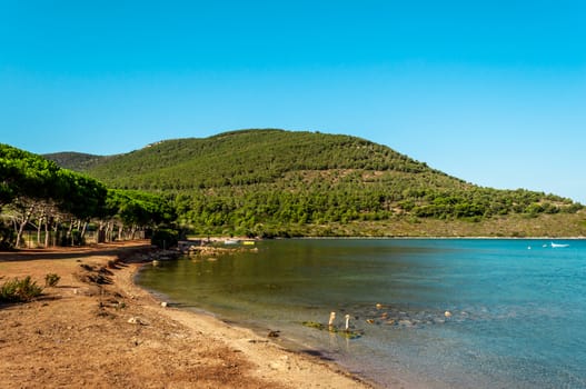 View of gulf and beach of Tramariglio, Sardinia, in a sunny day of summer