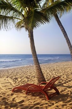Wooden chaise longue under the palm tree on the ocean, Kenya