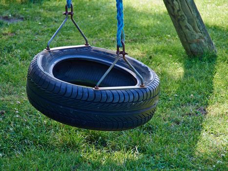 Tire swing hanging in a payground with green grass lawn background