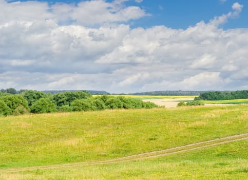 Meadow with wildflowers and dirt road on the background of forests, agricultural grounds and sky with clouds in summer day
